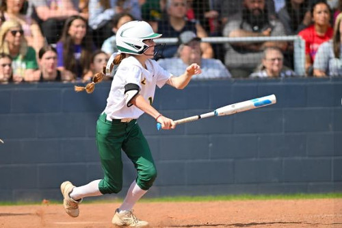 Lady Cavaliers ride Anderson’s perfection into softball quarterfinals ...